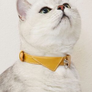 Home golden petal collar